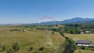 Teren Bran -Sohodol, Strada La mesteceni, 6900mp - imagine 9