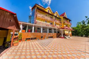 Hotel Panoramic- Investiție cu potențial balnear în statiunea Moneasa - imagine 5