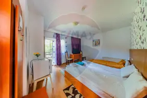 Hotel Panoramic- Investiție cu potențial balnear în statiunea Moneasa - imagine 13