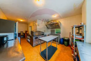 Hotel Panoramic- Investiție cu potențial balnear în statiunea Moneasa - imagine 10