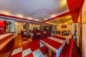 Hotel Panoramic- Investiție cu potențial balnear în statiunea Moneasa - imagine 9