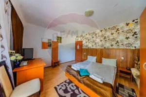 Hotel Panoramic- Investiție cu potențial balnear în statiunea Moneasa - imagine 14