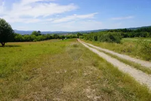 Teren 1,343mp Sighetu Marmatiei / Strada Doboies - imagine 5