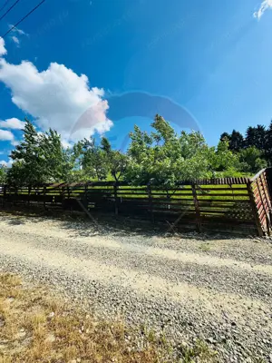 Teren 1,600mp Sighetu Marmatiei / Strada Doboies