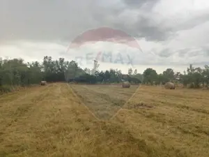 Casa de vanzare in Sinersig - imagine 6