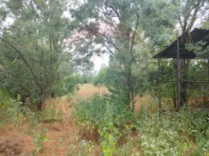 Casa de vanzare in Sinersig - imagine 7