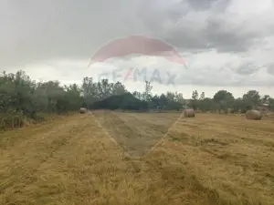 Casa de vanzare in Sinersig - imagine 5