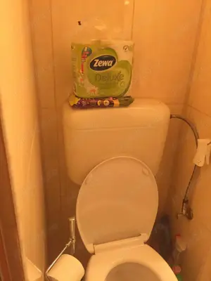 De vinzare - imagine 35