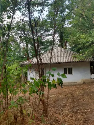 Vând casă în Crasna, Vaslui