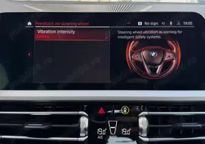 BMW Seria 3 318i AT - imagine 16