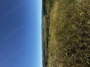 Teren de vânzare   Ciurila, extravilan - imagine 2