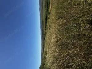 Teren de vânzare   Ciurila, extravilan - imagine 3