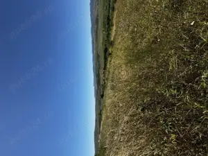 Teren de vânzare   Ciurila, extravilan - imagine 4