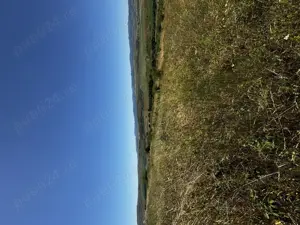 Teren de vânzare   Ciurila, extravilan - imagine 5