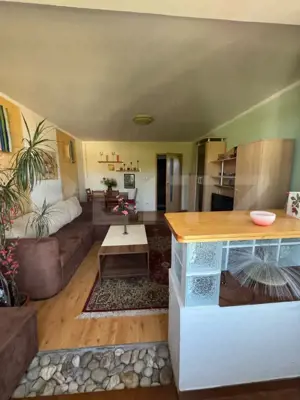 Apartament cu 2 camere, 46,33 mp, zona Brad - imagine 2