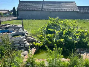 Casă 309 mp, teren 1083 mp, Rușii-Munți - imagine 7