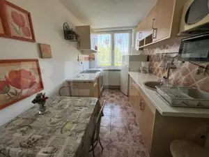 Apartament cu 2 camere, 46,33 mp, zona Brad - imagine 7