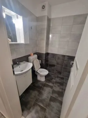 Apartament 2 camere de inchiriat Metalurgiei - Drumul Binelui - imagine 10 Apartament 2 camere de inchiriat Metalurgiei - Drumul Binelui - imagine 10