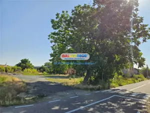 Vanzare Moara cu spatii Industriale situate in comuna Daia jud Giurgiu - imagine 13