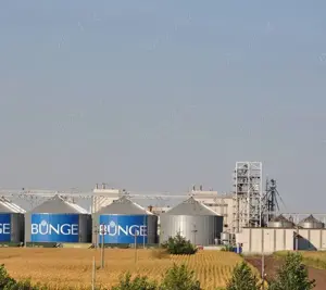 Angajam muncitor necalificat pentru productie - fabrica Bunge din Lehliu