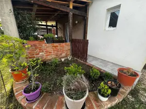 Sag- vatra satului- 7 camere- strada asfaltata - imagine 4 Sag- vatra satului- 7 camere- strada asfaltata - imagine 4