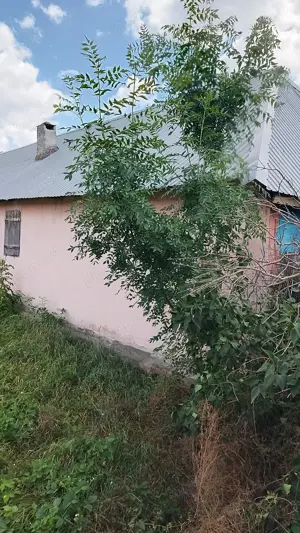 Vind casa cu 4camere și dependințe și 05 ha teren intravilan in sat Gherman Nr 105 a com Jamu m. are - imagine 4