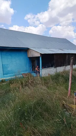 Vind casa cu 4camere și dependințe și 05 ha teren intravilan in sat Gherman Nr 105 a com Jamu m. are - imagine 3