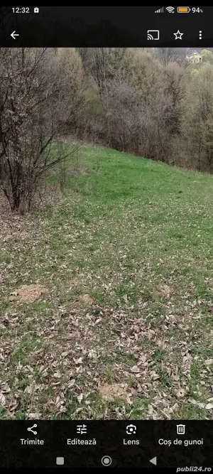 teren moisei lunca de jos  - imagine 5