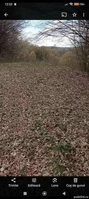 teren moisei lunca de jos  - imagine 4