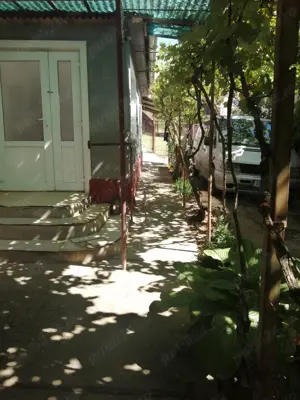 Casă + grădină în Roșia de Secaș - imagine 10