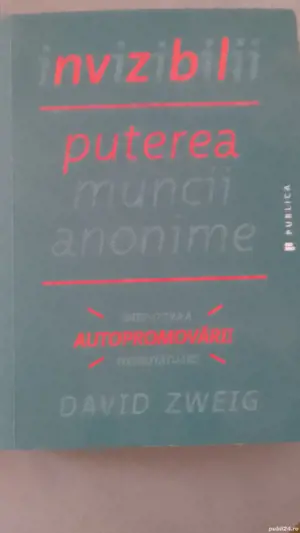 David Zweig - Invizibilii
