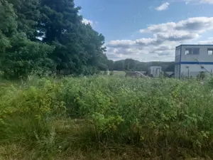 De vanzare in Caransebes . O proprietate cu parfum oriental 