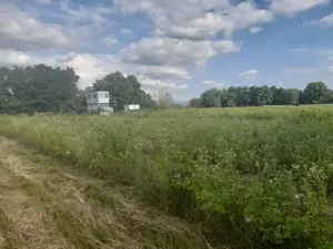 De vanzare in Caransebes . O proprietate cu parfum oriental  - imagine 2