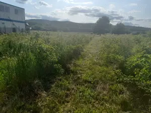 De vanzare in Caransebes . O proprietate cu parfum oriental  - imagine 3