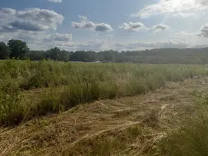 De vanzare in Caransebes . O proprietate cu parfum oriental  - imagine 7