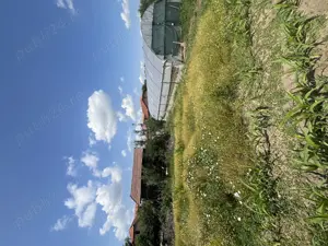 Casa cu teren în Țigănești, Teleorman - 2225 mp - imagine 7