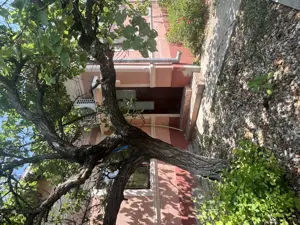 Casa cu teren în Țigănești, Teleorman - 2225 mp - imagine 9