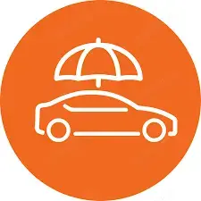 Sofer  curier personal oriunde .