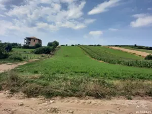 teren Șura Mare, Sibiu 400m2 - imagine 3