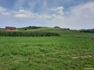 teren Șura Mare, Sibiu 400m2 - imagine 4