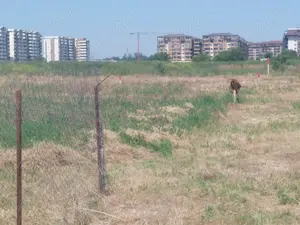 Teren intravilan de vanzare