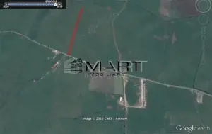 Teren intravilan 10.000mp la drum Calea Surii Mici - imagine 3
