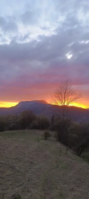 De vânzare casă + 80000 mp . - imagine 2