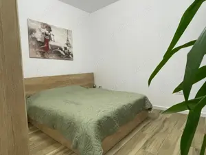 Inchiriere apartament Felix - imagine 4