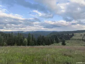 Teren la munte sat Maguri 