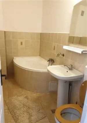 Apartament 3 camere Bd. Decebal - P-ta Muncii - imagine 11