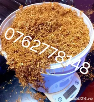 Firicel belgia 0.1 galben