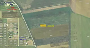 CASA NOUA la 10 km de Lugoj - imagine 4