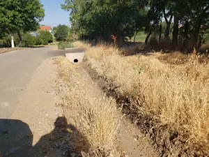 Gradina exceptionala in Sculia Gataia - imagine 3