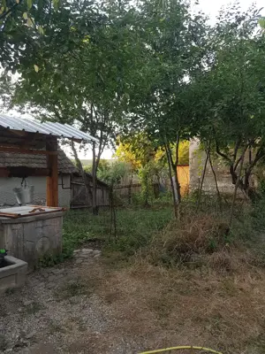 Casa de inchiriat in Apoldu de Jos la 35 km de Sibiu - imagine 9